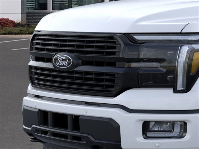 2025 Ford F-150 Platinum photo 14