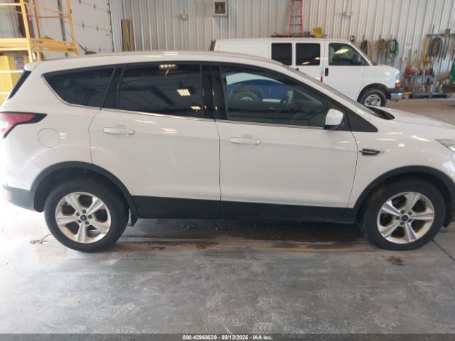 2017 Ford Escape SE photo 5