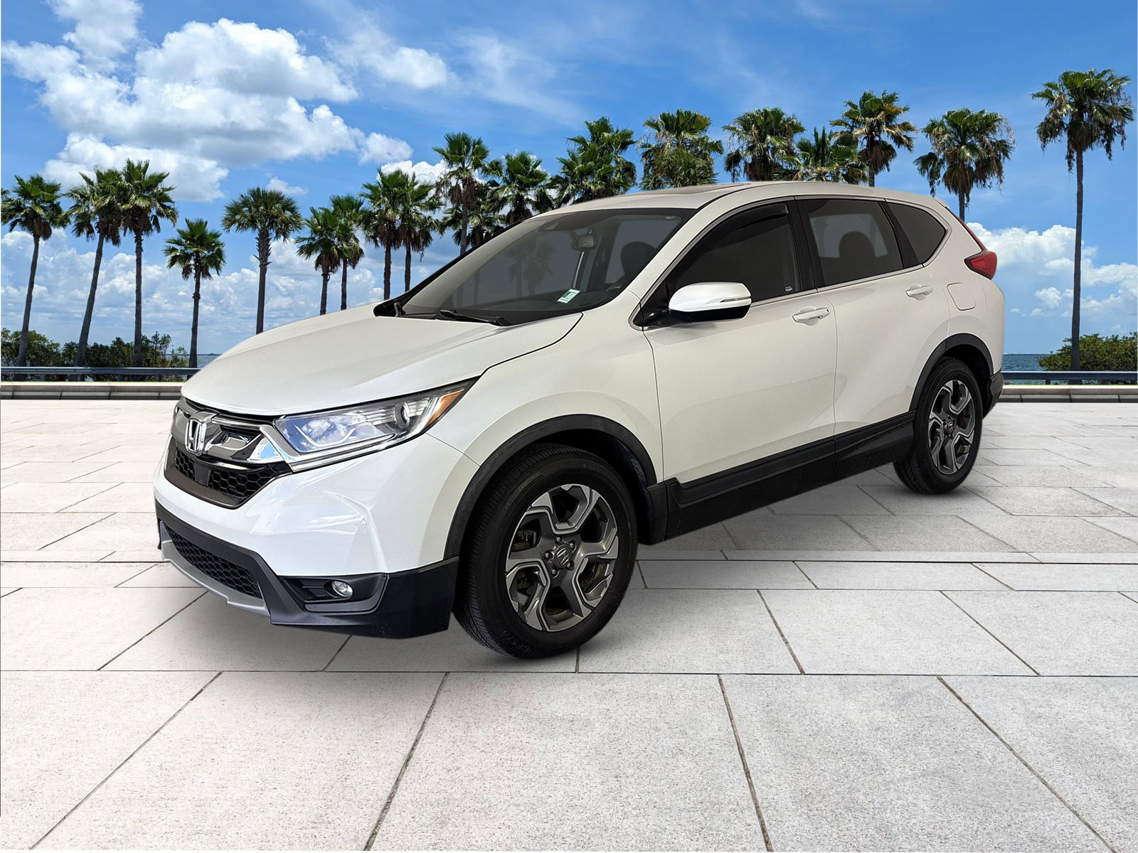 2019 Honda CR-V EX-L photo 4