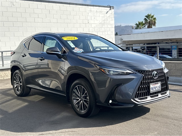 2024 Lexus NX 350h photo 2