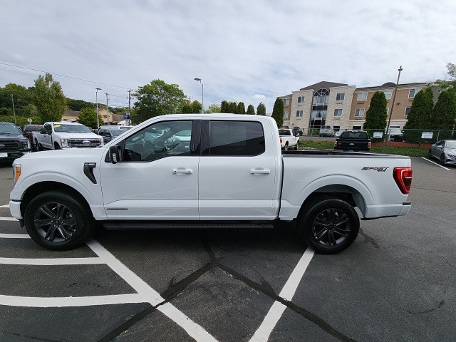 2023 Ford F-150 XLT photo 6