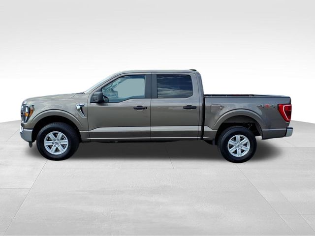 2023 Ford F-150 XLT photo 2