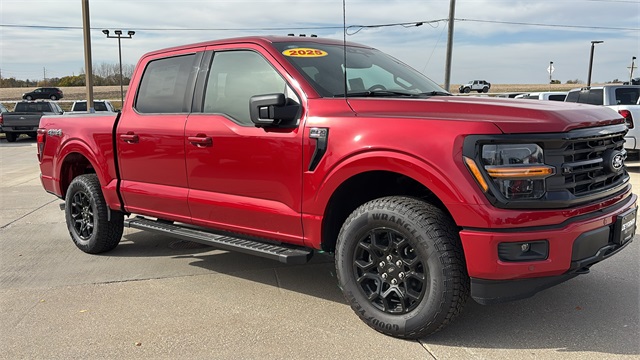2025 Ford F-150 XLT's photo