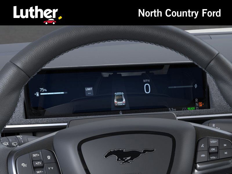 2025 Ford Mustang Mach-E GT photo 12