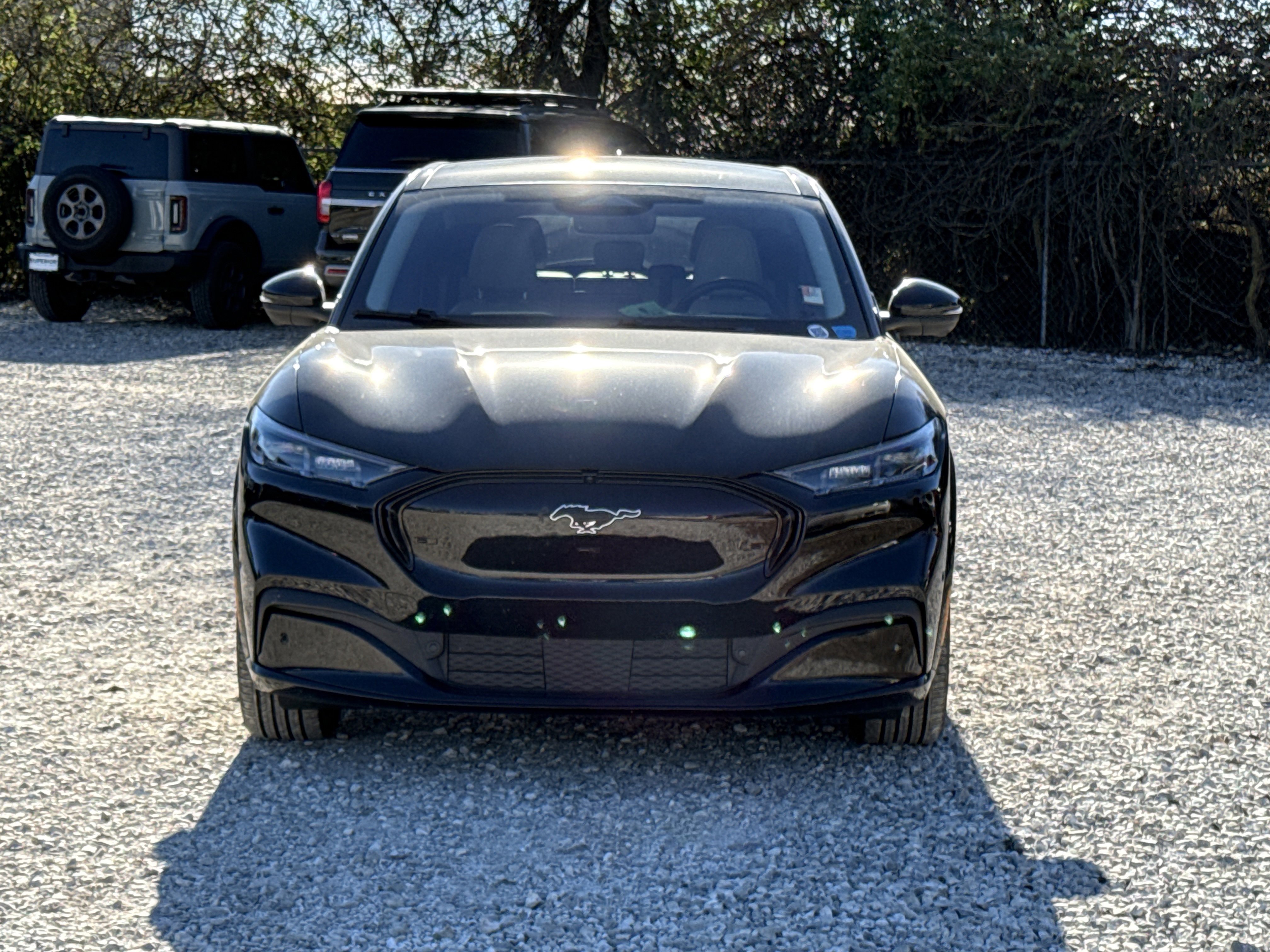 Used 2021 Ford Mustang Mach-E Premium AWD with VIN 3FMTK3SU3MMA07242 for sale in Siloam Springs, AR