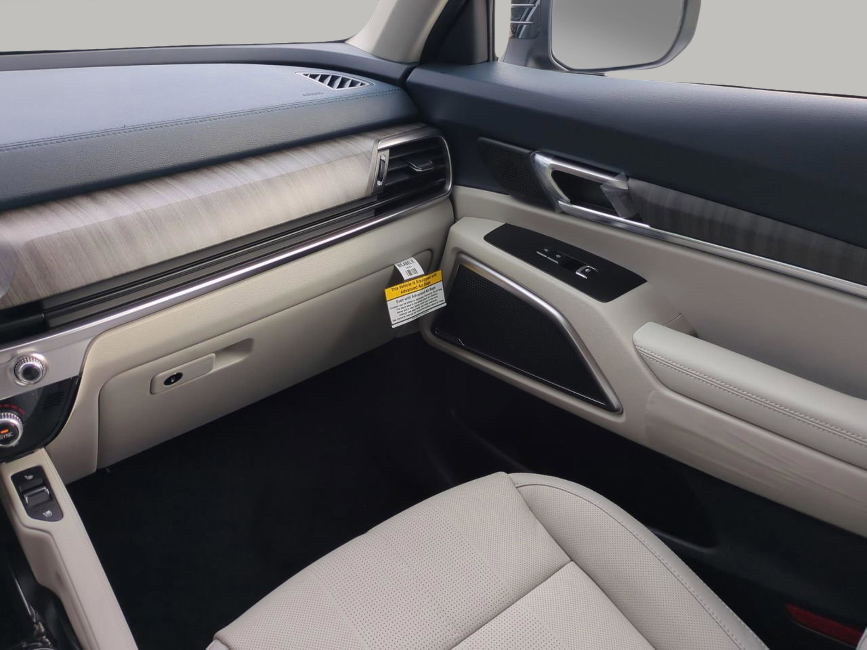 2025 Kia Telluride EX photo 6