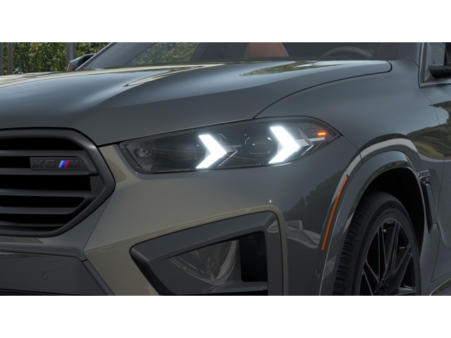 2026 Bmw X6 M photo 6