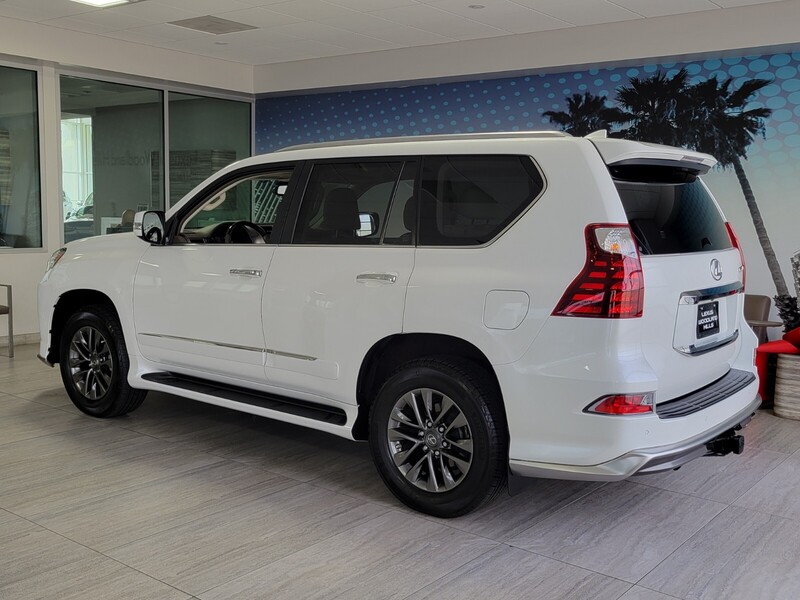 2019 Lexus GX 460 Luxury photo 3
