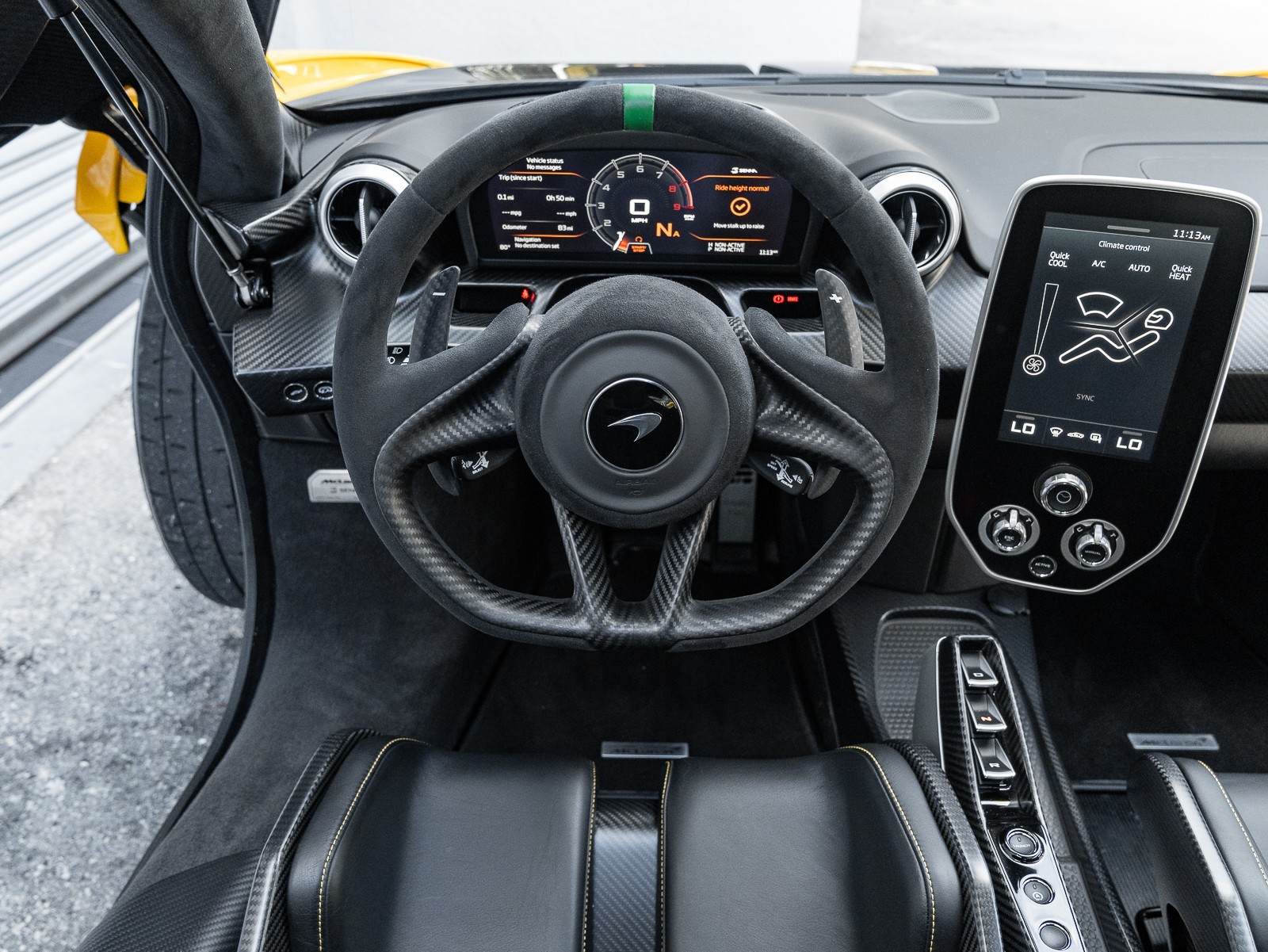 2019 Mclaren SENNA photo 18