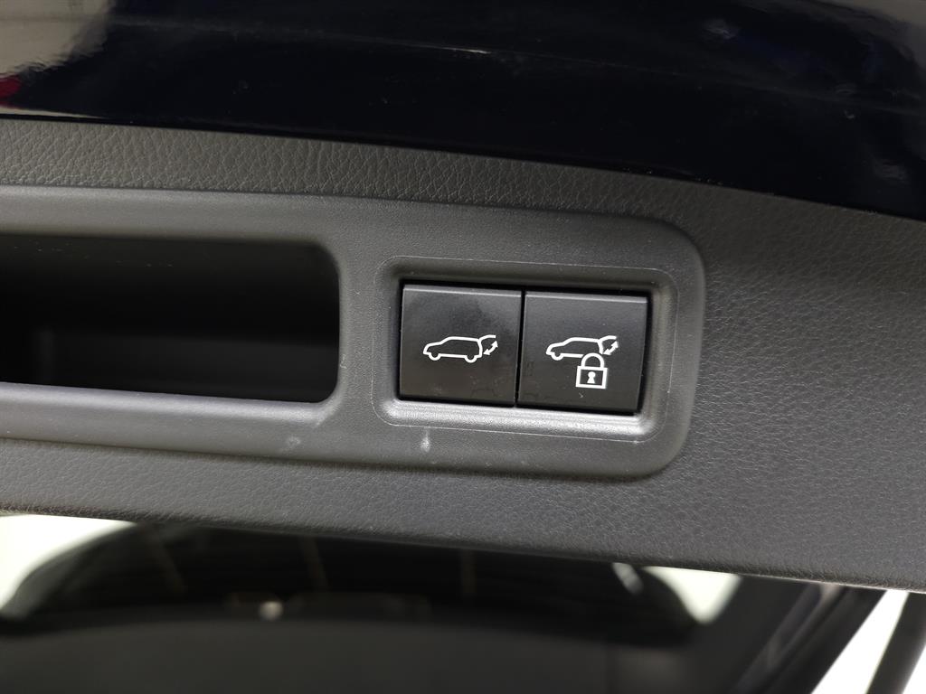 2024 Lexus RX 350h photo 6