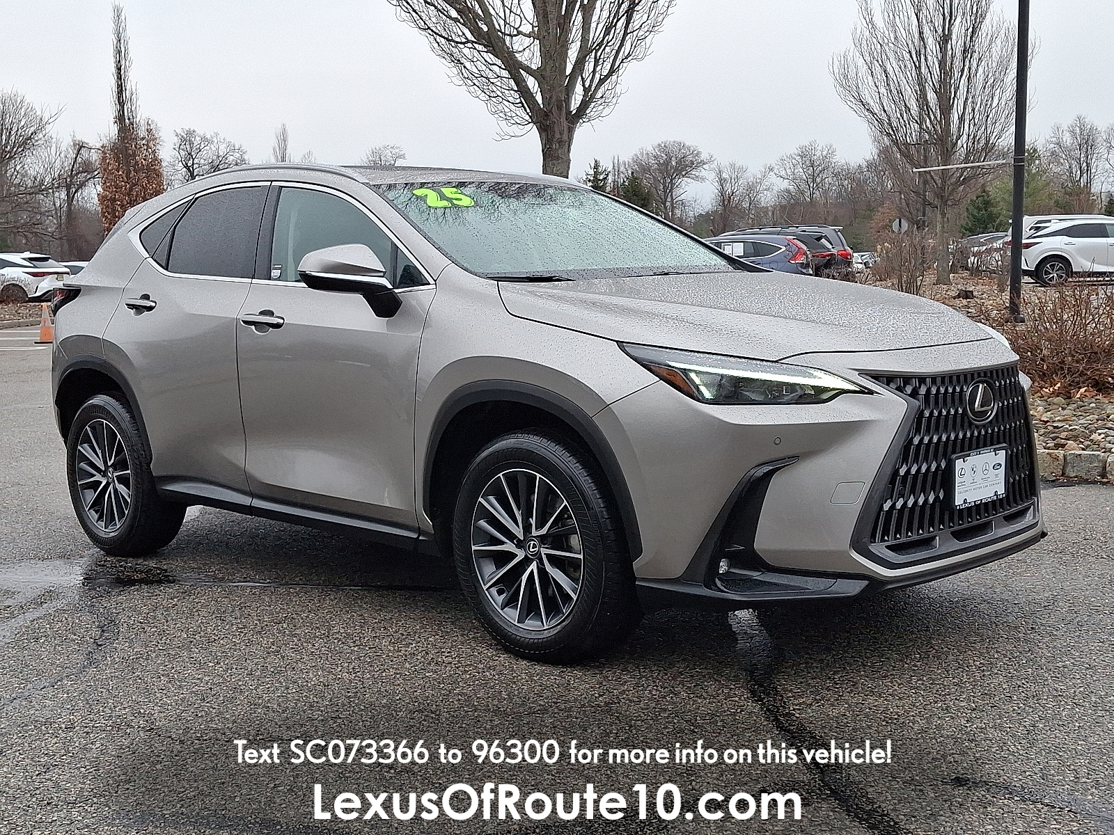 2025 Lexus NX 350's photo