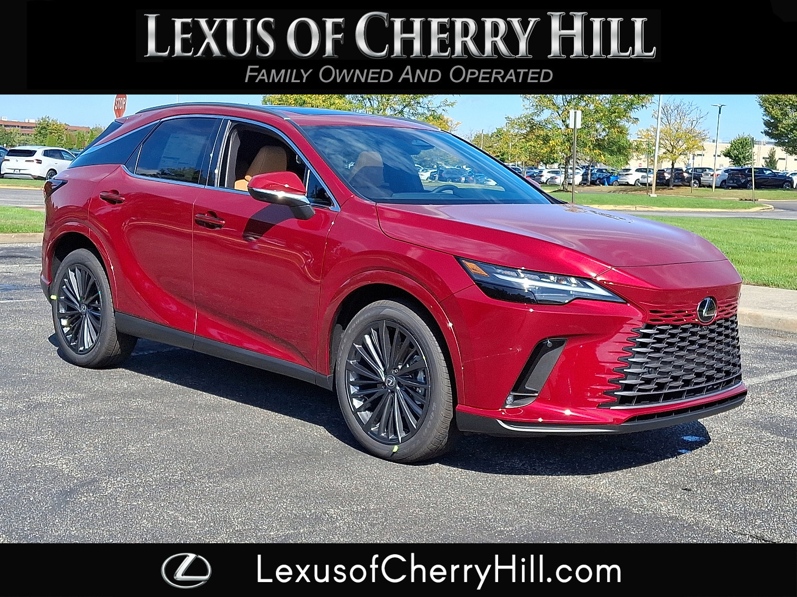 2025 Lexus RX 350's photo