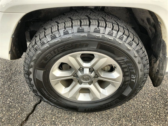 2024 Toyota 4Runner SR5 Premium photo 3