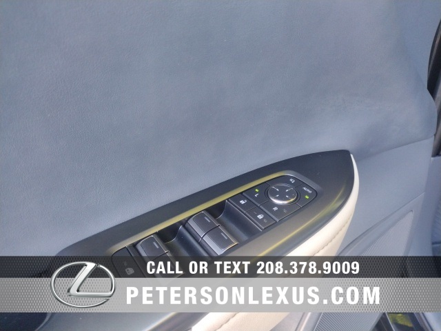 2023 Lexus RZ 450e Premium photo 19