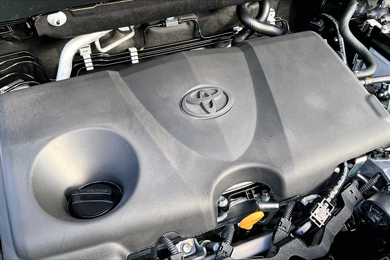 2025 Toyota RAV4 XLE photo 15