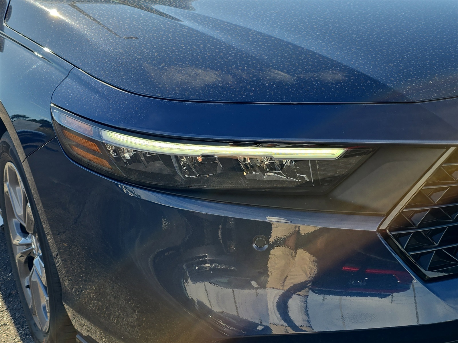 2025 Honda Accord Hybrid EX-L photo 7