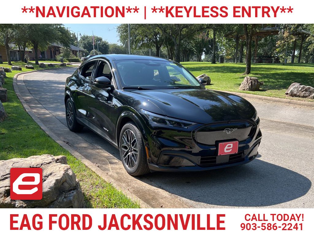 2025 Ford Mustang Mach-E Premium RWD's photo