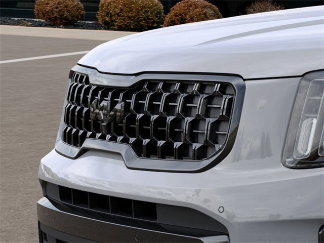 2025 Kia Telluride SX X-Line photo 10
