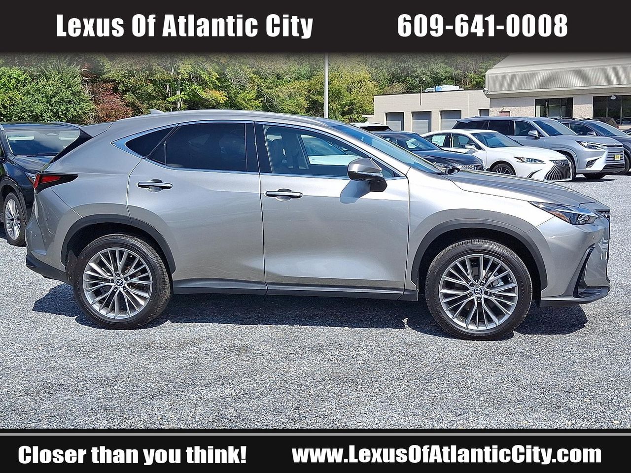2025 Lexus NX 350 Premium photo 7