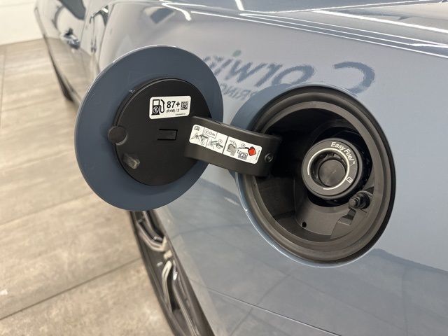 2025 Ford Mustang EcoBoost photo 34
