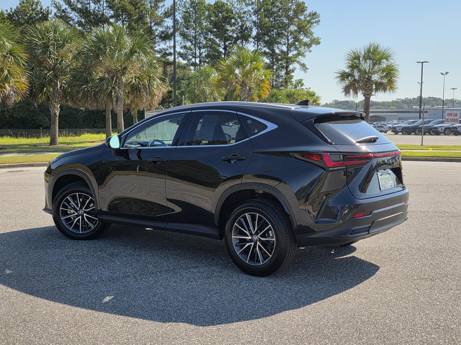 2025 Lexus NX 250 Premium photo 2
