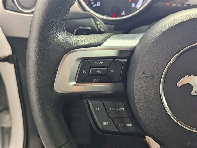 2019 Ford Mustang EcoBoost photo 2