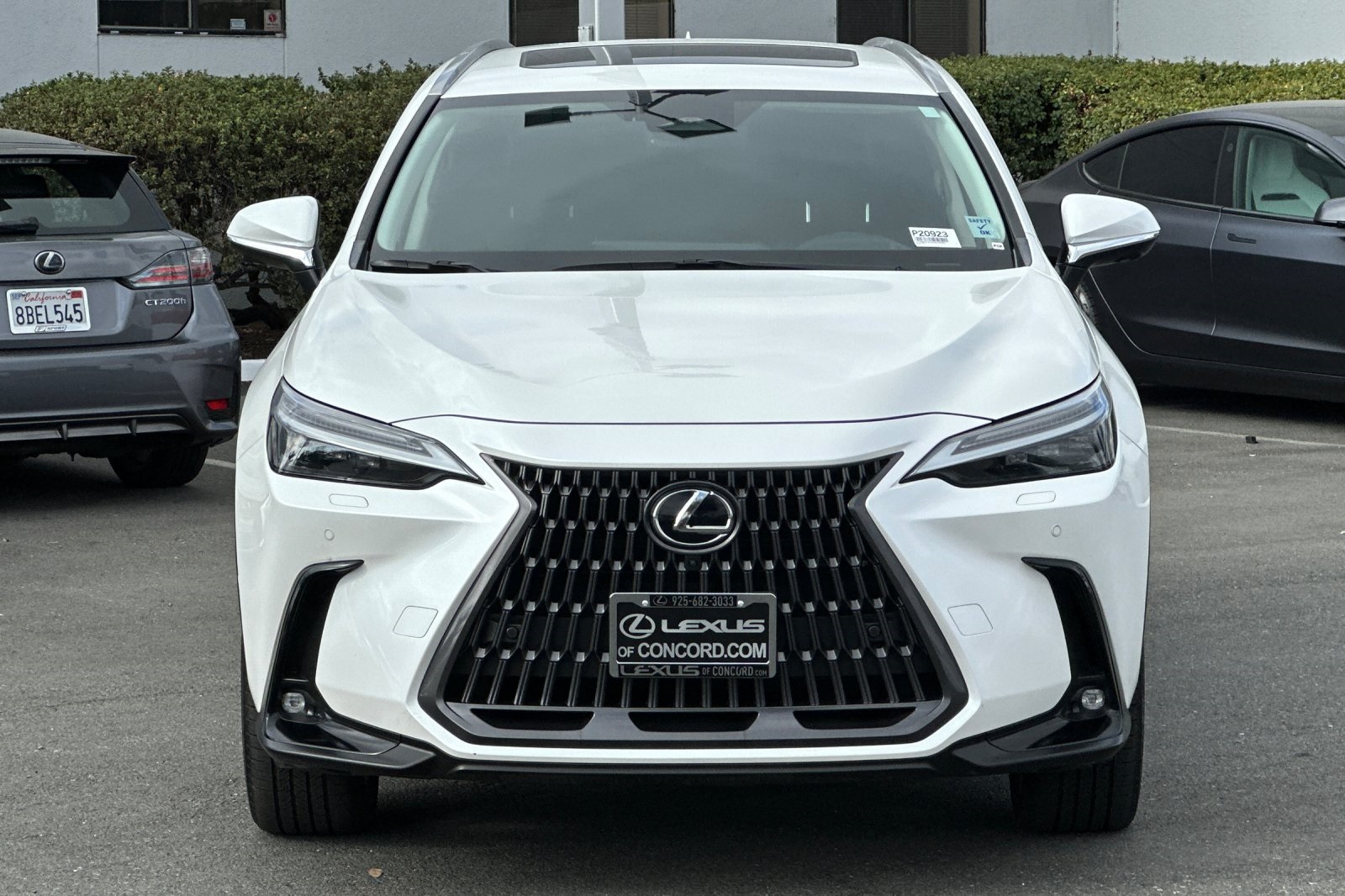 2023 Lexus NX 450h+ Luxury photo 3