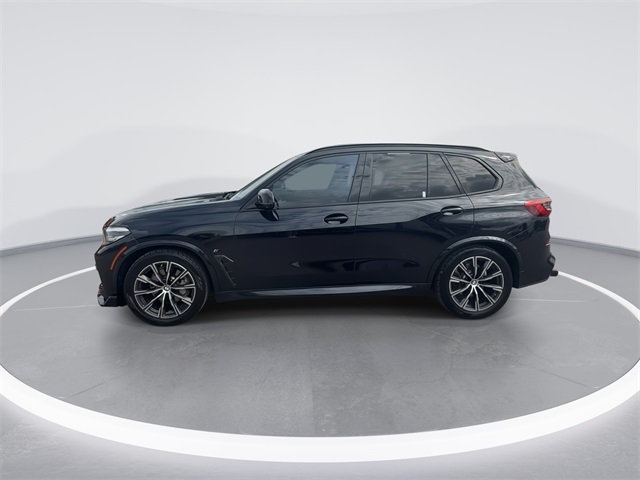 2019 Bmw X5 xDrive40i photo 5