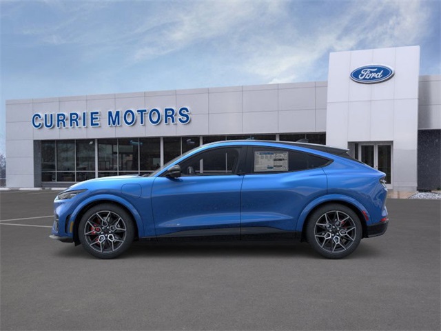 2025 Ford Mustang Mach-E GT photo 3