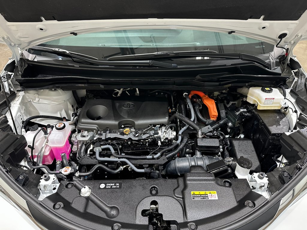 2024 Toyota Sienna XLE photo 11