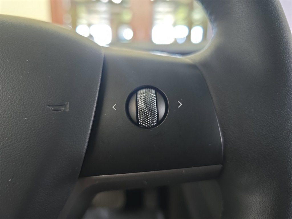 2023 Tesla Model 3 photo 19