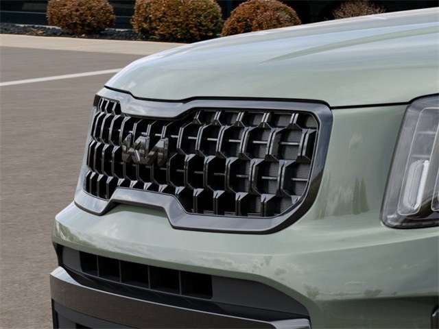 2025 Kia Telluride EX X-Line photo 9