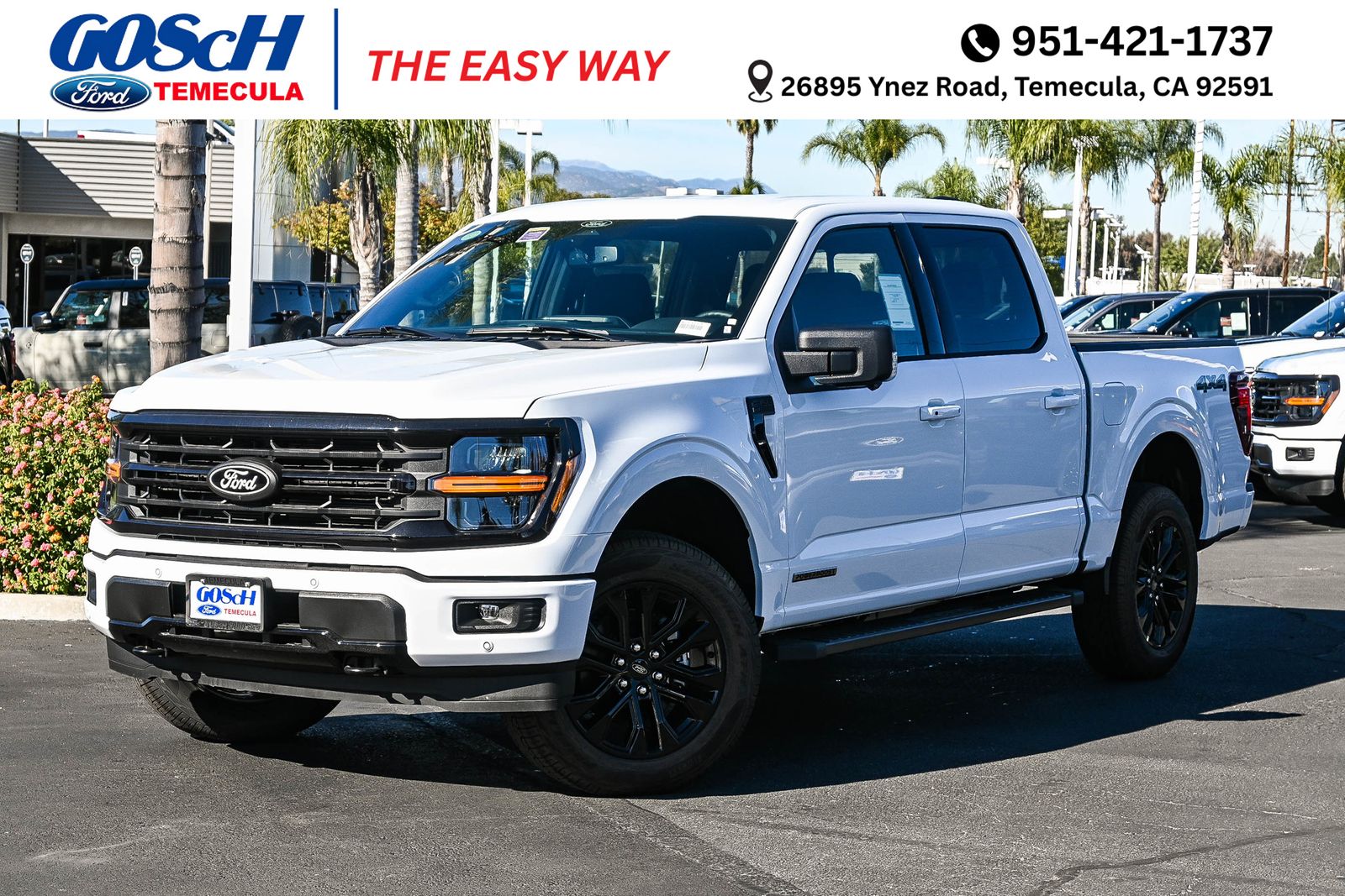 2025 Ford F-150 XLT's photo