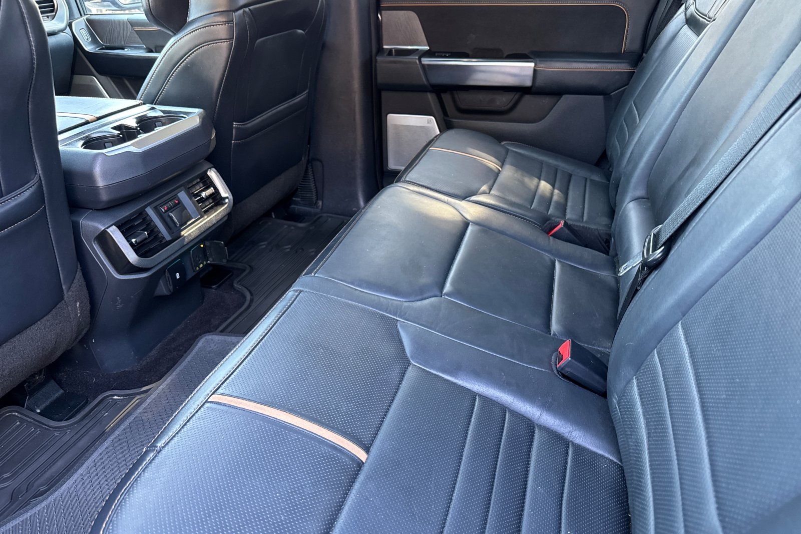 2021 Ford F-150 Platinum photo 3