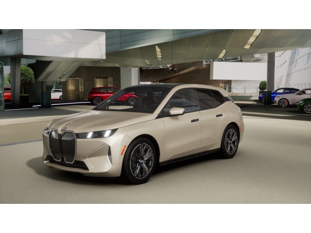 2026 BMW iX 60's photo