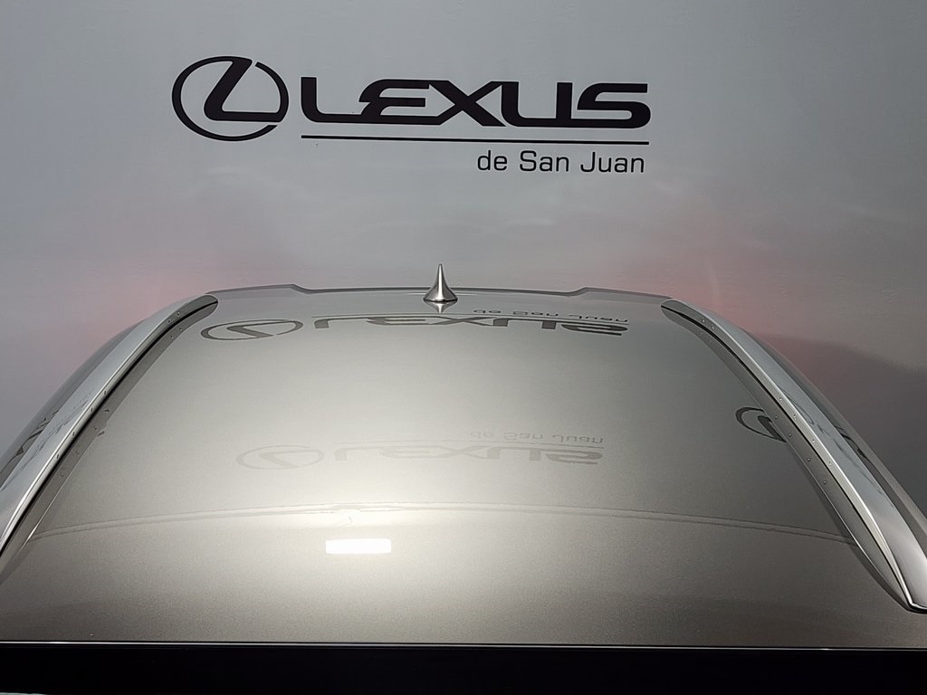 2025 Lexus UX photo 7