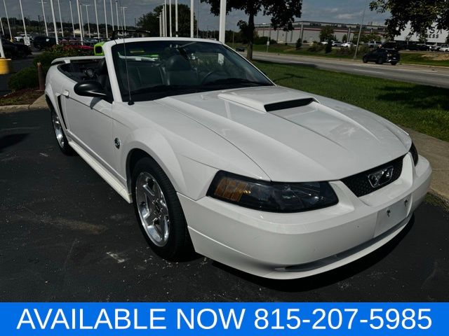 2004 Ford Mustang GT photo 14