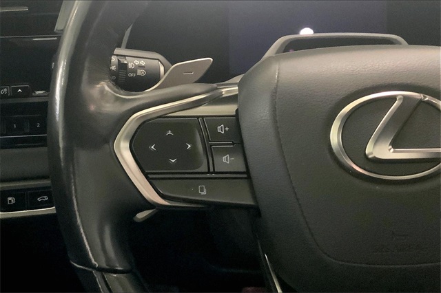 2024 Lexus RX 450h+ Luxury photo 13