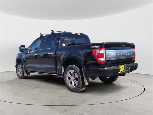 2021 Ford F-150 Platinum photo 3
