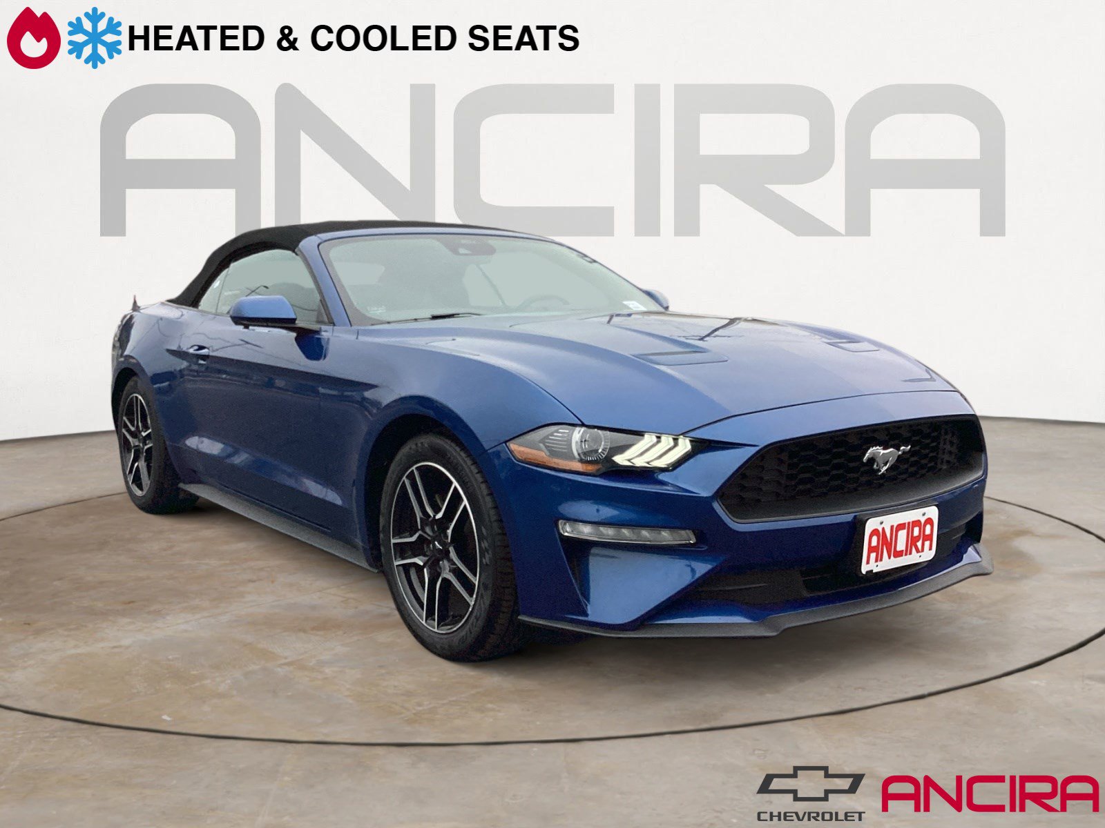 2023 Ford Mustang EcoBoost's photo