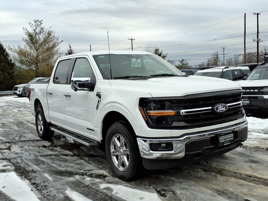 2025 Ford F-150 XLT's photo