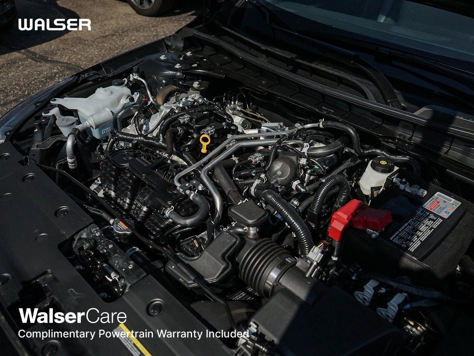 2025 Nissan Altima 2.5 SV photo 7