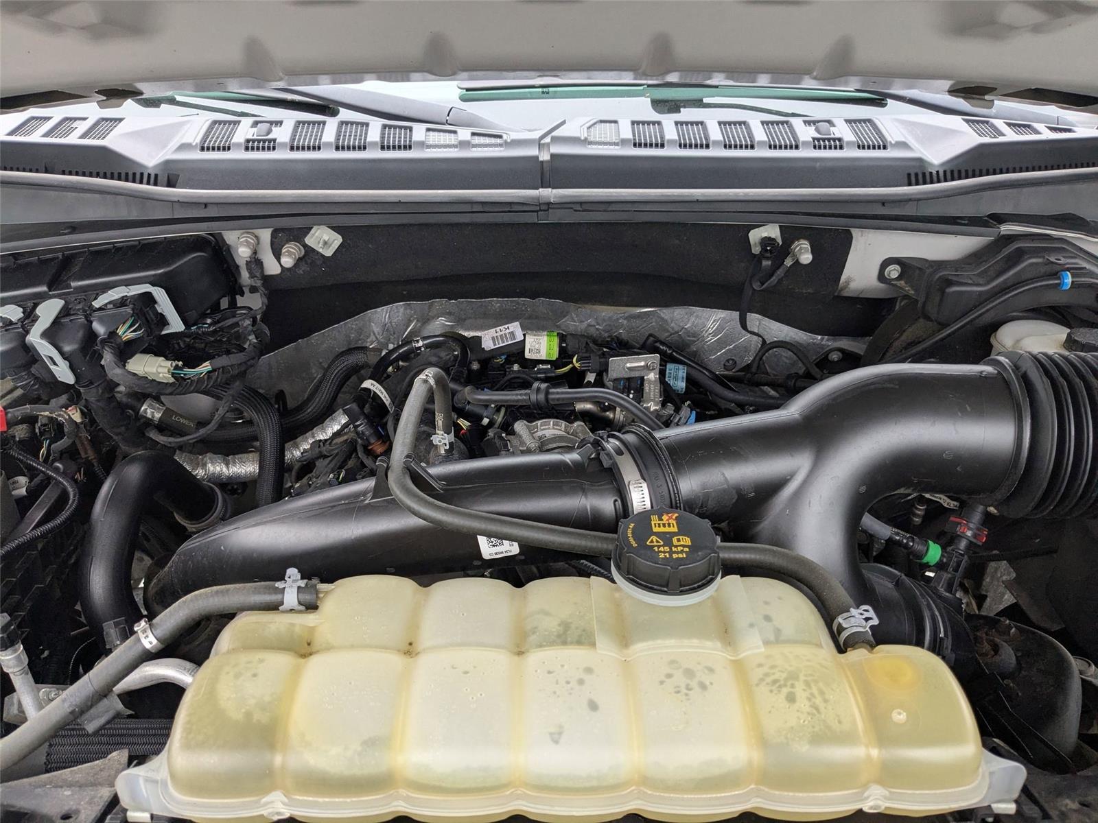 2019 Ford F-150 XL photo 34