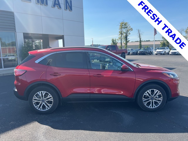 2022 Ford Escape SEL photo 5