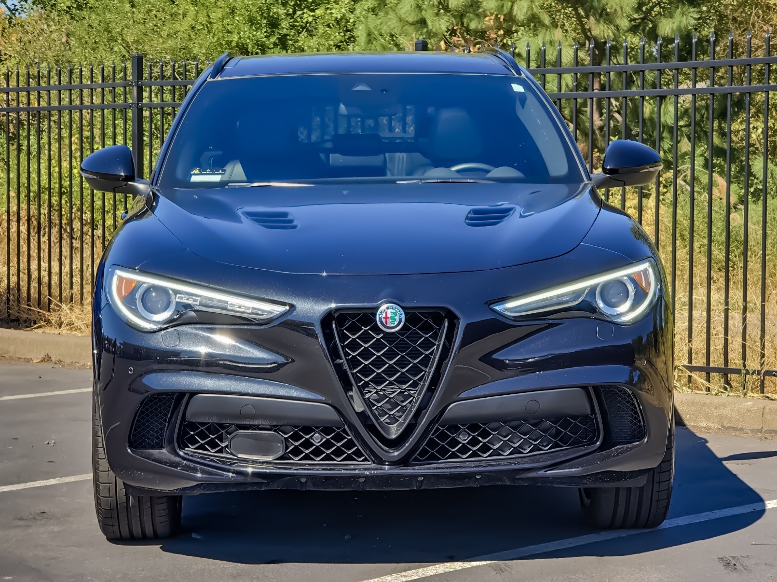 2023 Alfa Romeo Stelvio Quadrifoglio photo 8