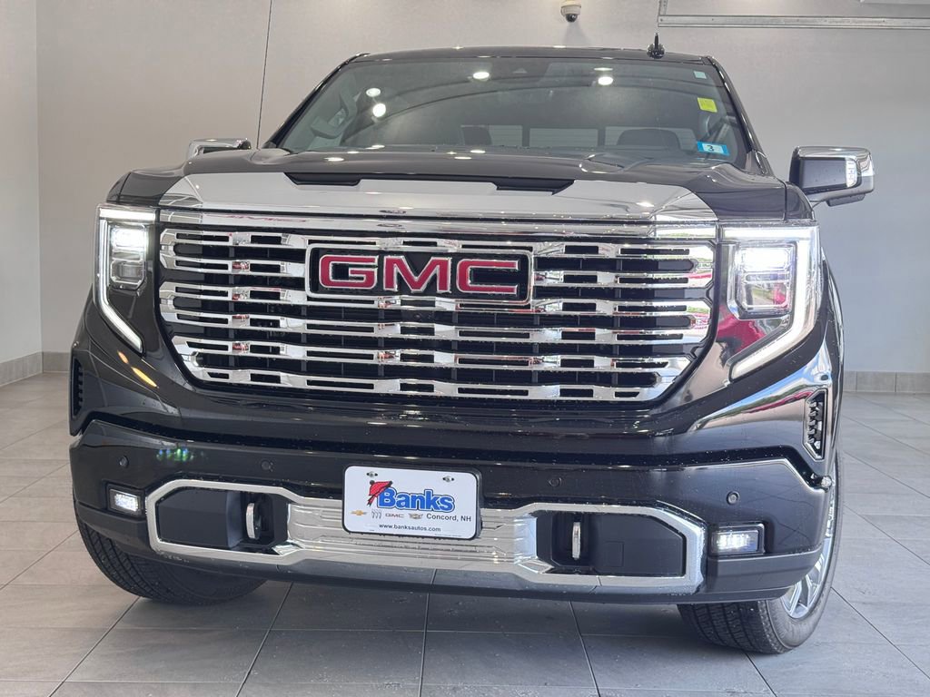 2025 Gmc Sierra 1500 Denali photo 3