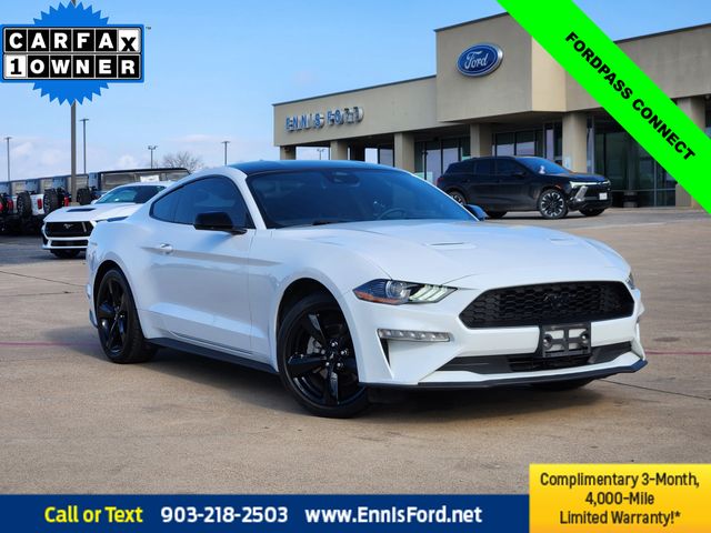 2022 Ford Mustang EcoBoost's photo