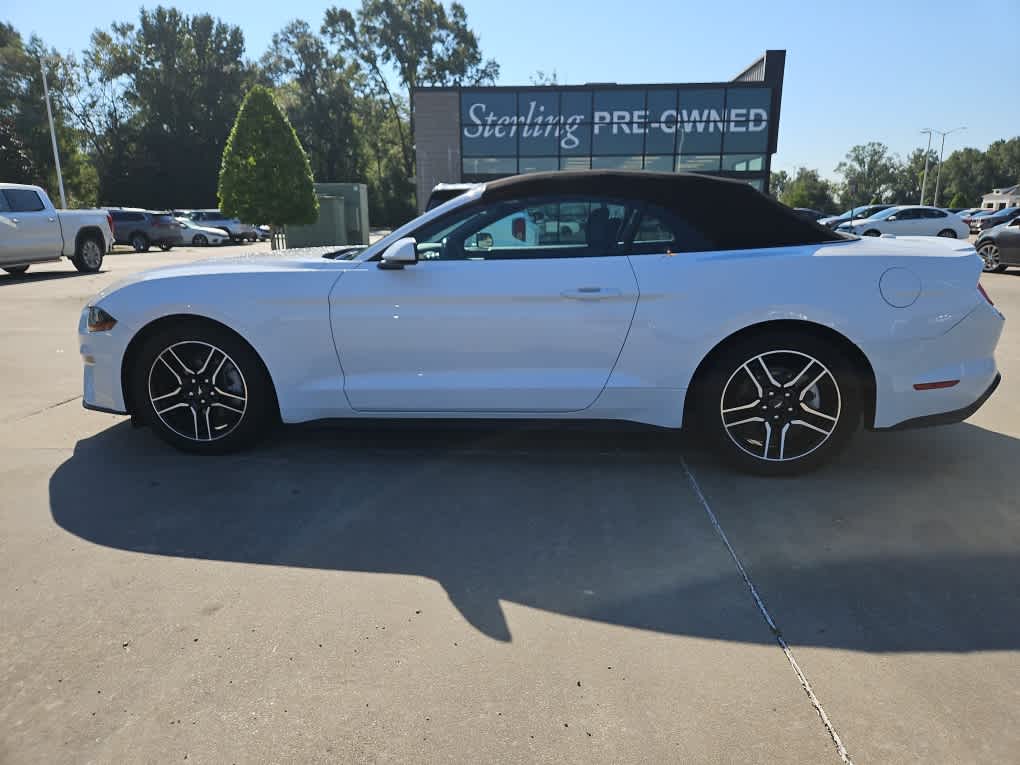 2023 Ford Mustang