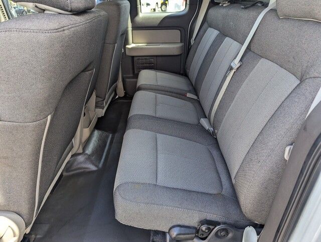 2010 Ford F-150 photo 12