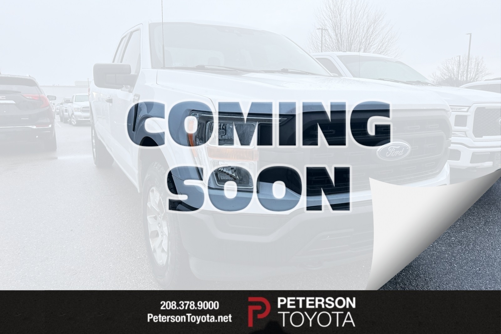 2021 Ford F-150 XL's photo